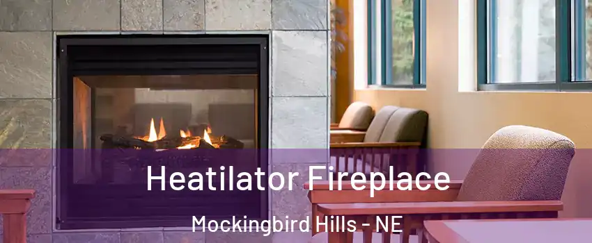 Heatilator Fireplace Mockingbird Hills - NE