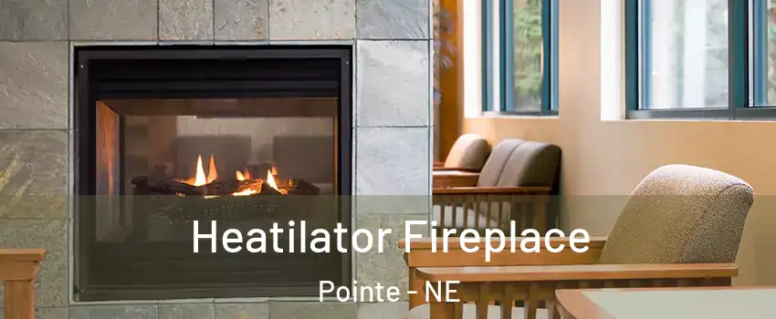 Heatilator Fireplace Pointe - NE