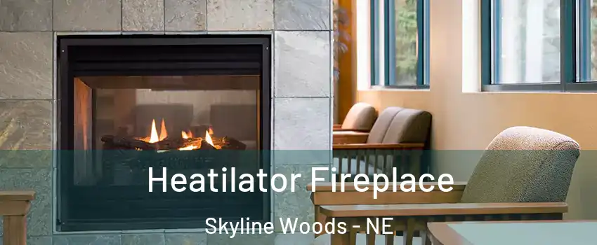Heatilator Fireplace Skyline Woods - NE