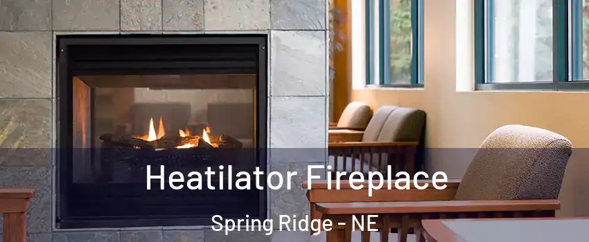 Heatilator Fireplace Spring Ridge - NE
