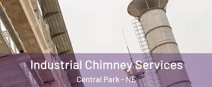 Industrial Chimney Services Central Park - NE