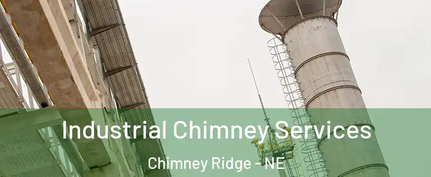 Industrial Chimney Services Chimney Ridge - NE