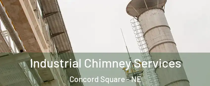 Industrial Chimney Services Concord Square - NE