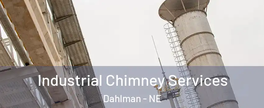 Industrial Chimney Services Dahlman - NE