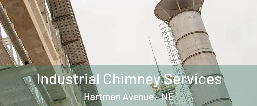 Industrial Chimney Services Hartman Avenue - NE