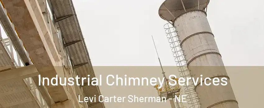 Industrial Chimney Services Levi Carter Sherman - NE