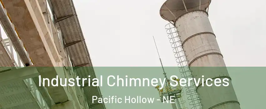 Industrial Chimney Services Pacific Hollow - NE