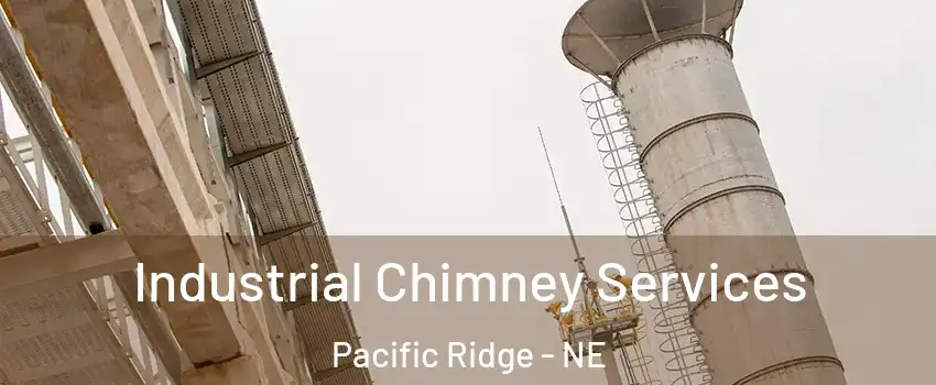 Industrial Chimney Services Pacific Ridge - NE