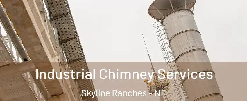 Industrial Chimney Services Skyline Ranches - NE