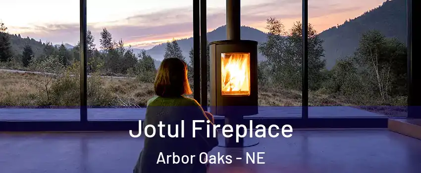 Jotul Fireplace Arbor Oaks - NE