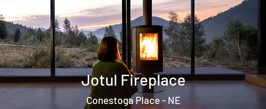 Jotul Fireplace Conestoga Place - NE