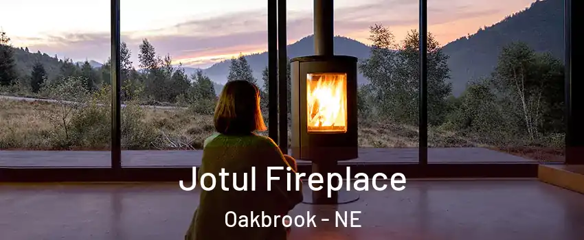 Jotul Fireplace Oakbrook - NE