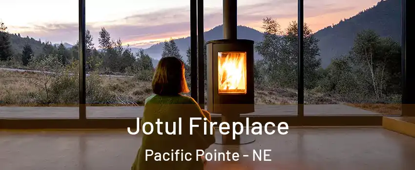 Jotul Fireplace Pacific Pointe - NE