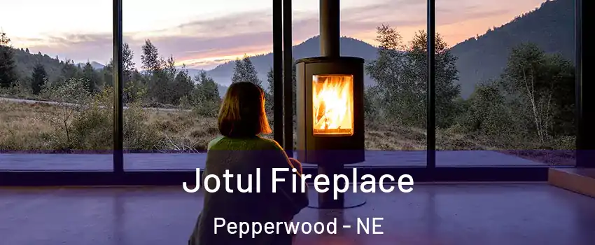 Jotul Fireplace Pepperwood - NE