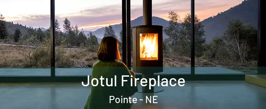 Jotul Fireplace Pointe - NE