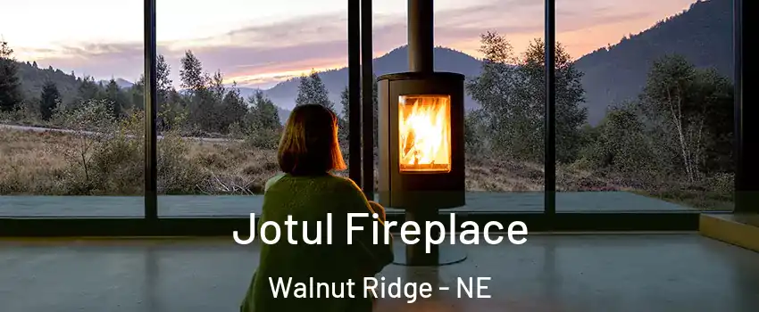 Jotul Fireplace Walnut Ridge - NE