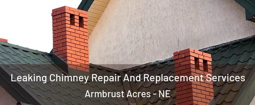 Leaking Chimney Repair And Replacement Services Armbrust Acres - NE