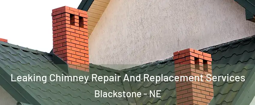 Leaking Chimney Repair And Replacement Services Blackstone - NE