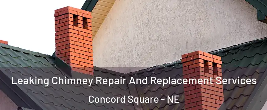 Leaking Chimney Repair And Replacement Services Concord Square - NE