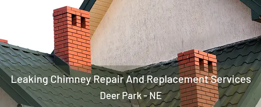 Leaking Chimney Repair And Replacement Services Deer Park - NE