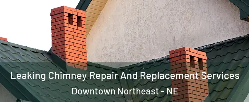 Leaking Chimney Repair And Replacement Services Downtown Northeast - NE