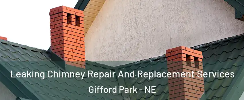 Leaking Chimney Repair And Replacement Services Gifford Park - NE
