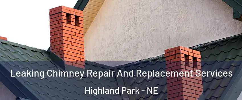 Leaking Chimney Repair And Replacement Services Highland Park - NE