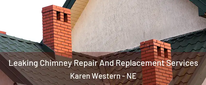 Leaking Chimney Repair And Replacement Services Karen Western - NE