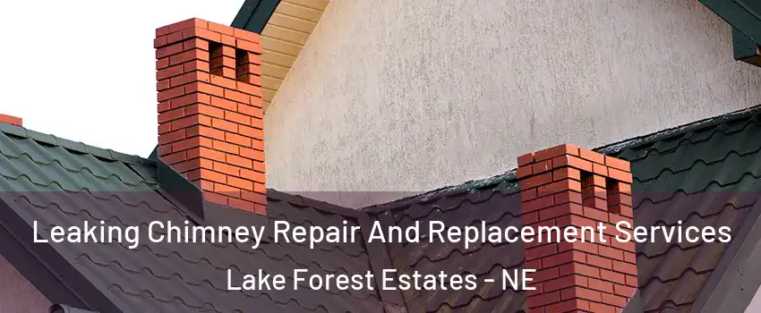 Leaking Chimney Repair And Replacement Services Lake Forest Estates - NE