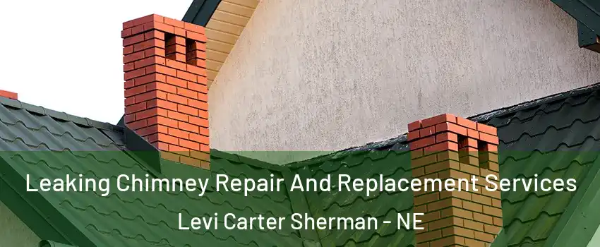 Leaking Chimney Repair And Replacement Services Levi Carter Sherman - NE