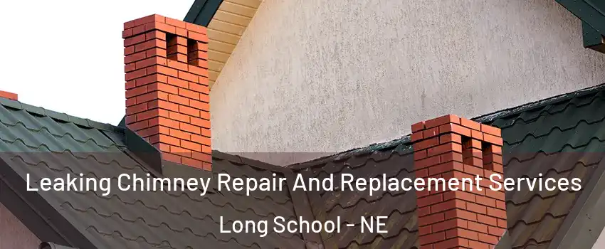Leaking Chimney Repair And Replacement Services Long School - NE