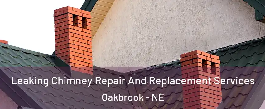 Leaking Chimney Repair And Replacement Services Oakbrook - NE