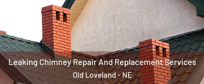 Leaking Chimney Repair And Replacement Services Old Loveland - NE