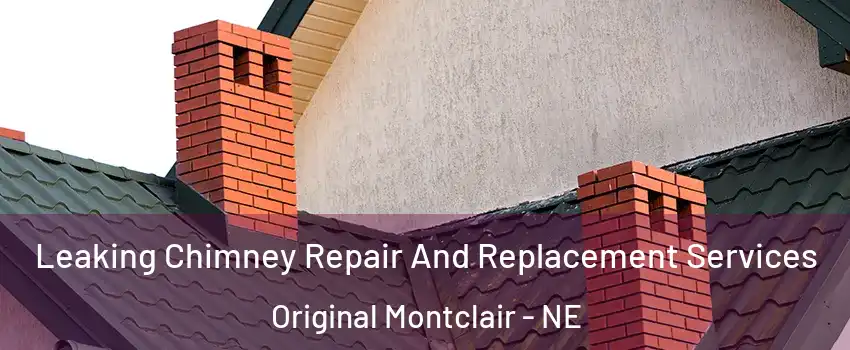 Leaking Chimney Repair And Replacement Services Original Montclair - NE