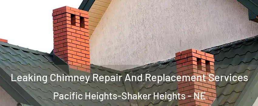 Leaking Chimney Repair And Replacement Services Pacific Heights-Shaker Heights - NE