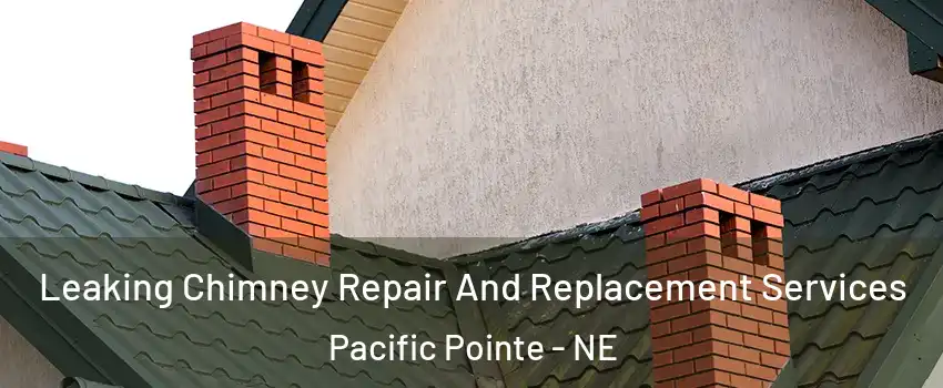 Leaking Chimney Repair And Replacement Services Pacific Pointe - NE