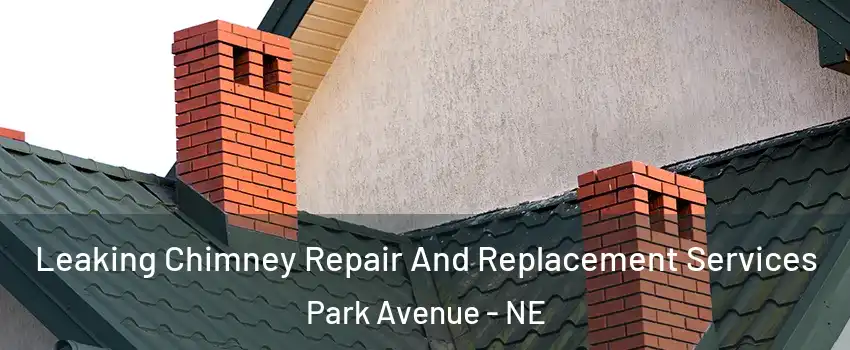 Leaking Chimney Repair And Replacement Services Park Avenue - NE