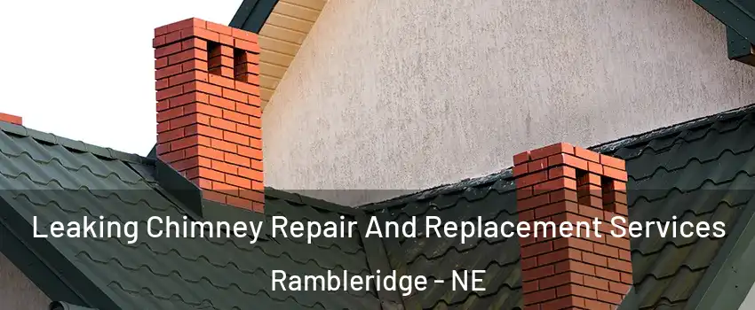 Leaking Chimney Repair And Replacement Services Rambleridge - NE