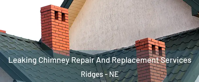 Leaking Chimney Repair And Replacement Services Ridges - NE