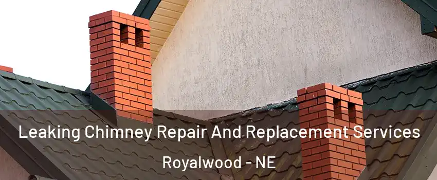 Leaking Chimney Repair And Replacement Services Royalwood - NE