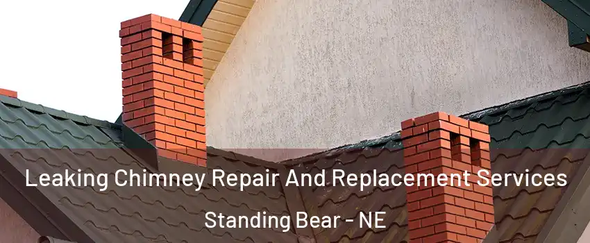 Leaking Chimney Repair And Replacement Services Standing Bear - NE