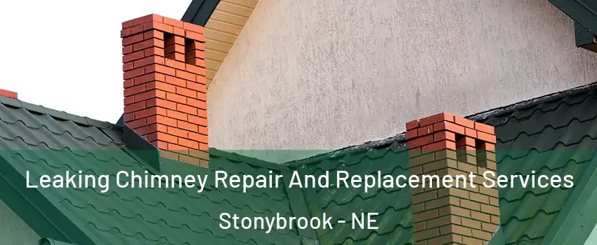 Leaking Chimney Repair And Replacement Services Stonybrook - NE