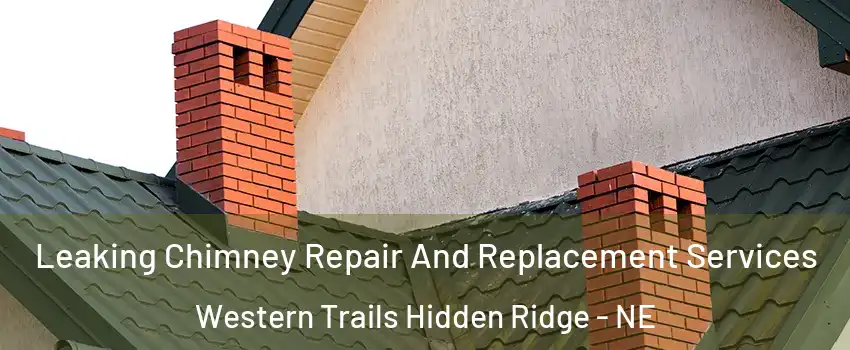 Leaking Chimney Repair And Replacement Services Western Trails Hidden Ridge - NE