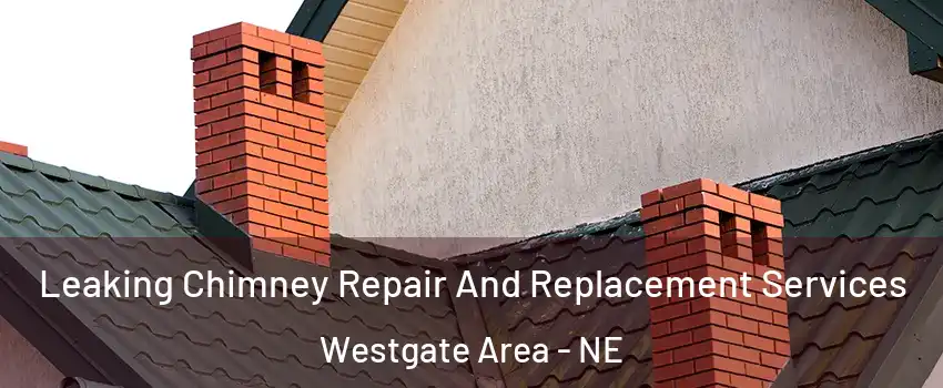 Leaking Chimney Repair And Replacement Services Westgate Area - NE