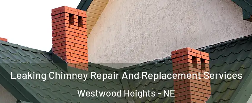 Leaking Chimney Repair And Replacement Services Westwood Heights - NE