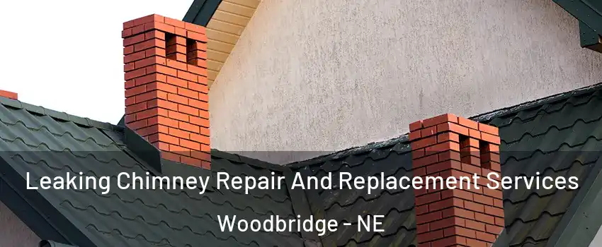 Leaking Chimney Repair And Replacement Services Woodbridge - NE