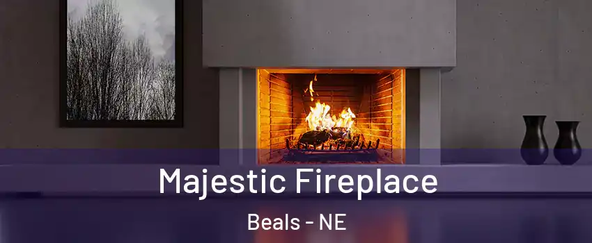 Majestic Fireplace Beals - NE