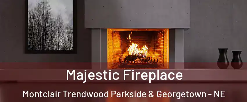 Majestic Fireplace Montclair Trendwood Parkside & Georgetown - NE