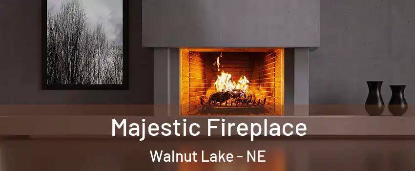 Majestic Fireplace Walnut Lake - NE