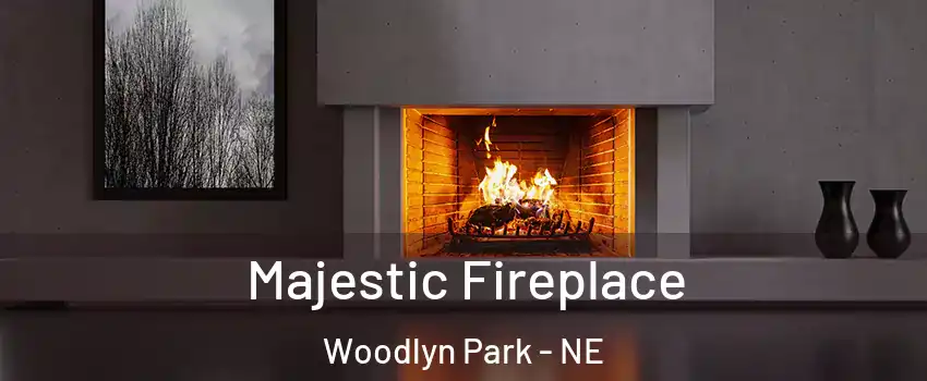 Majestic Fireplace Woodlyn Park - NE